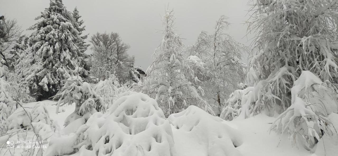 Na Malej Appartement Szklarska Poręba Buitenkant foto
