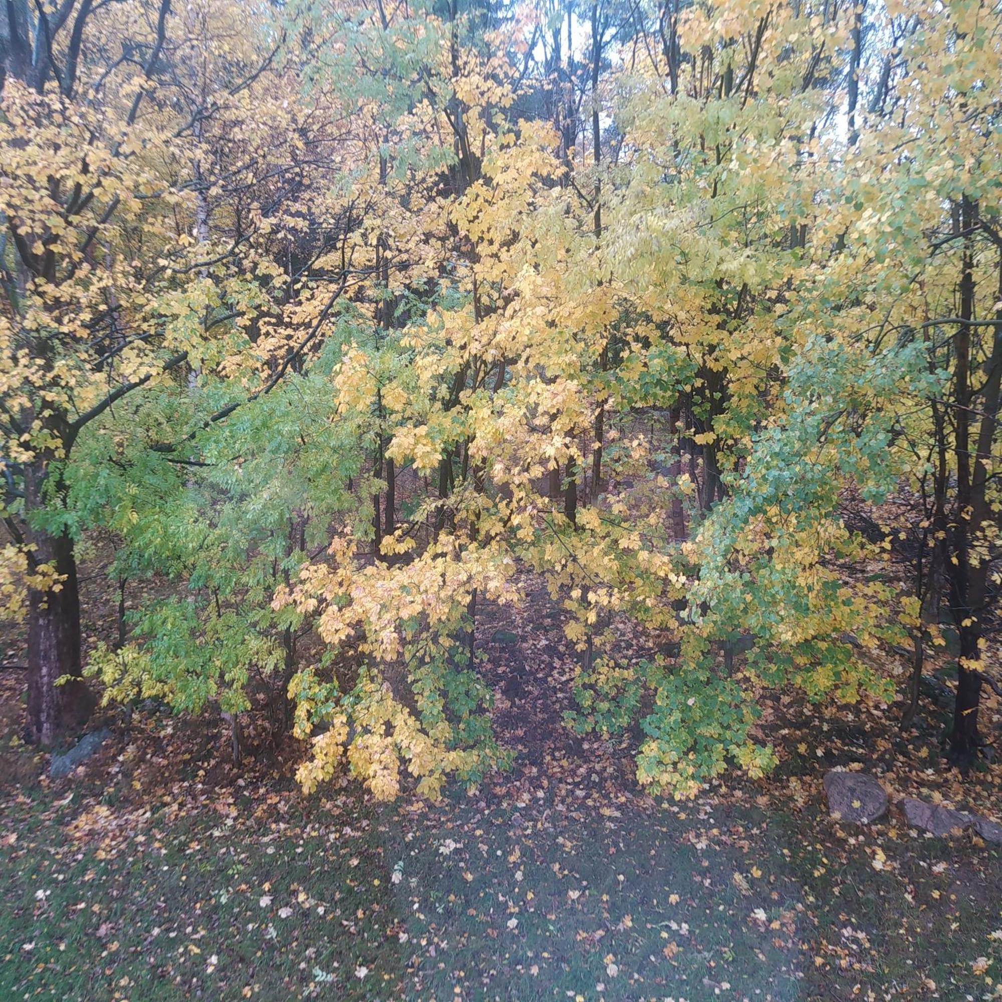 Na Malej Appartement Szklarska Poręba Buitenkant foto